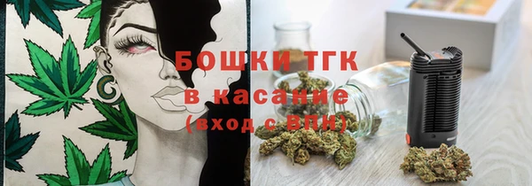 сатива Верхний Тагил