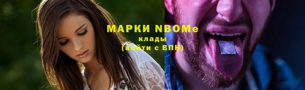 сатива Верхний Тагил