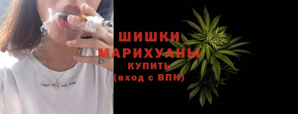 сатива Верхний Тагил