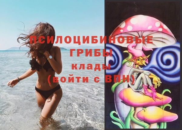 сатива Верхний Тагил