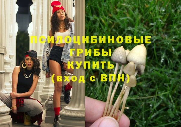 дурь Верея