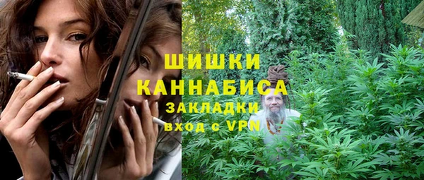 сатива Верхний Тагил