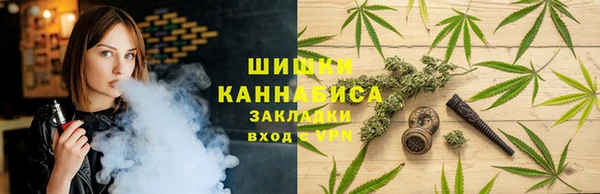 сатива Верхний Тагил
